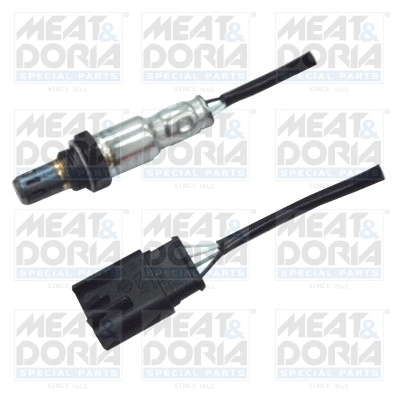 Oxygen Sensor